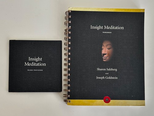 Insight meditation - ‘insight,